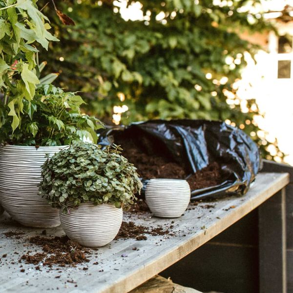 Capi runde krukker 3 stk. Nature Rib elfenbensfarvet