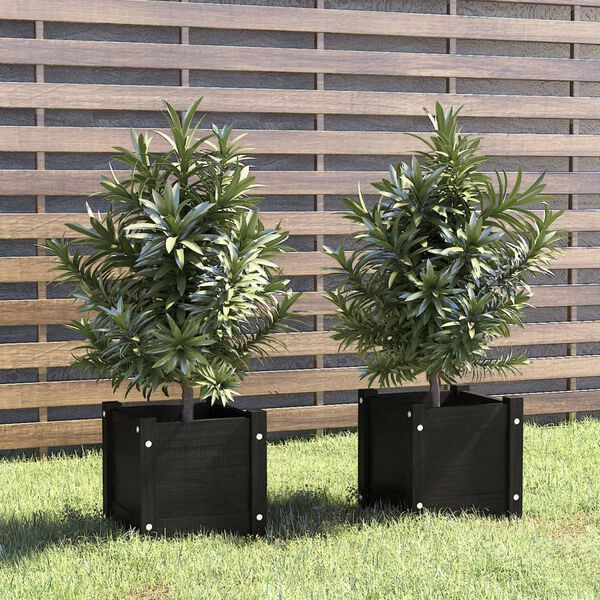 vidaXL plantekasser 2 stk. 31x31x31 cm massivt fyrretræ sort