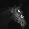 Produktminiaturebillede 2 af 7