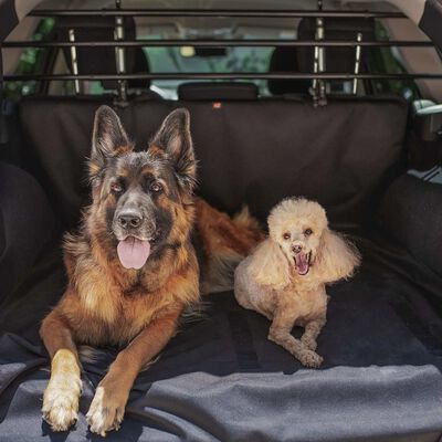Ferplast hundegitter til bil med nakkestøttetilslutning sort