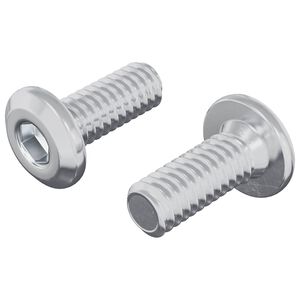 vidaXL Hovedl&aring;s Skrue 2 pcs S&oslash;lv M6 x 15 mm St&aring;l