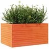 vidaXL plantekasse 90x60x45,5 cm massivt fyrretr&aelig; gyldenbrun