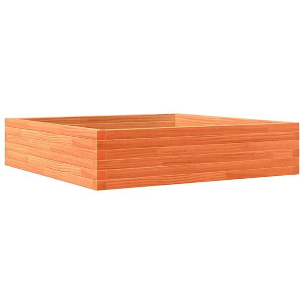 vidaXL plantekasse 100x100x23 cm massivt fyrretræ gyldenbrun