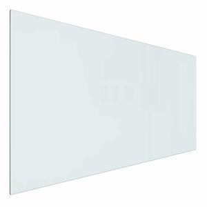 vidaXL Pejs glasplade Transparent 100 x 50 cm Glas