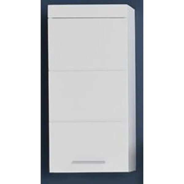 Trendteam v&aelig;gh&aelig;ngt badev&aelig;relsesskab Amanda hvid