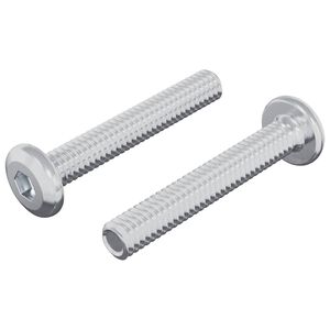 vidaXL L&aring;seskrue Ensfarvet 2 pcs S&oslash;lv M6 x 35 mm St&aring;l