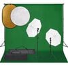 vidaXL fotostudies&aelig;t med lampes&aelig;t + baggrund og reflektor