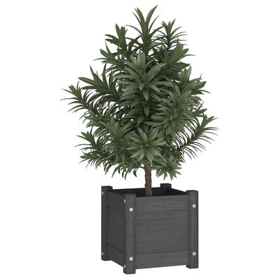 vidaXL plantekasse 31x31x31 cm massivt fyrretræ grå