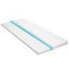 vidaXL topmadras 120 x 200 cm koldskum &aelig;ggebakke 6 cm