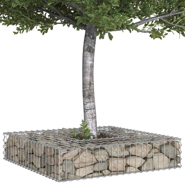 vidaXL Gabion h&oslash;jbed S&oslash;lv 100 x 100 x 20 cm Galvaniseret st&aring;l