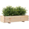 vidaXL plantekasse 110x40x26,5 cm massivt fyrretr&aelig;