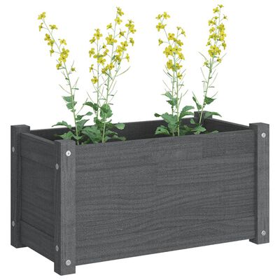 vidaXL plantekasser 2 stk. 60x31x31 cm massivt fyrretræ grå