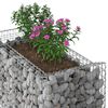 vidaXL Gabion h&oslash;jbed S&oslash;lv 50 x 100 x 100 cm Galvaniseret st&aring;l