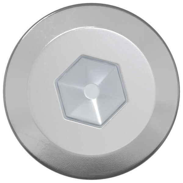 vidaXL Tr&aelig;skruer 12 pcs S&oslash;lv M6 x 70 mm St&aring;l