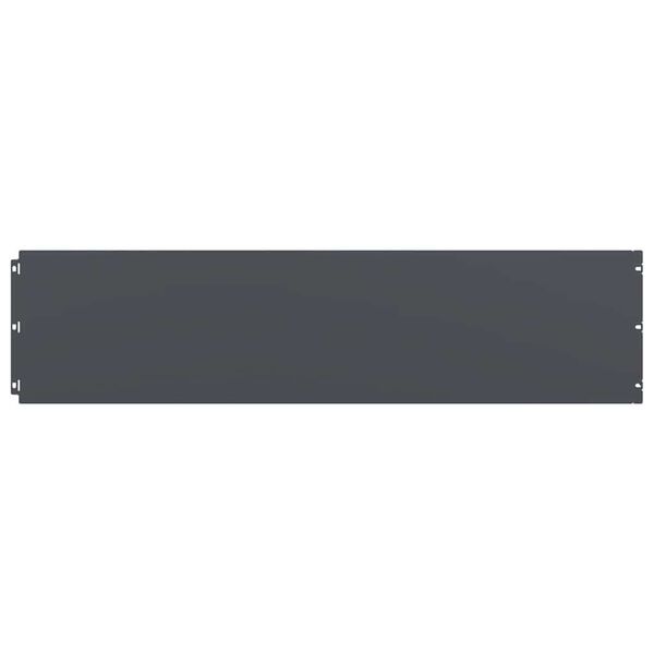 vidaXL pl&aelig;nekanter 20 stk. 25x103 cm koldvalset st&aring;l antracit