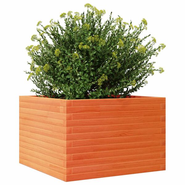 vidaXL plantekasse 70x70x45,5 cm massivt fyrretr&aelig; gyldenbrun