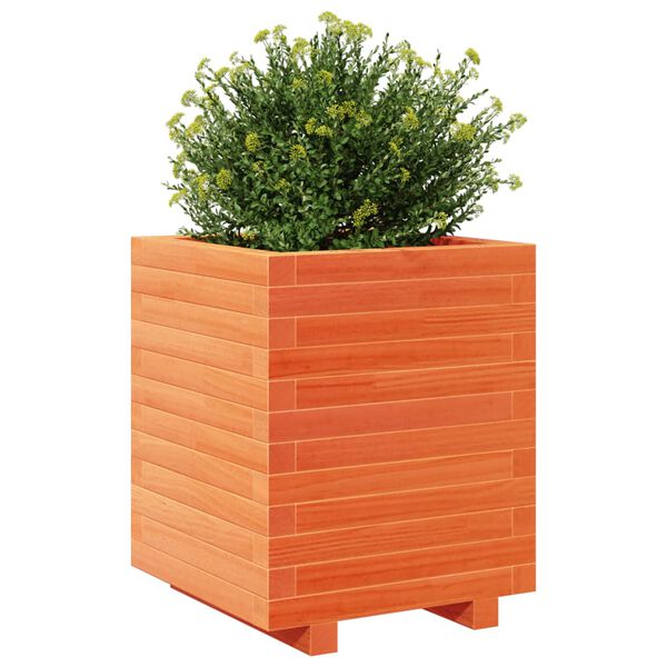 vidaXL plantekasse 40x40x49,5 cm massivt fyrretr&aelig; gyldenbrun