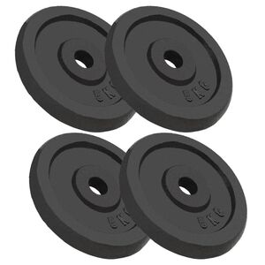 vidaXL v&aelig;gtplader 4 stk. 4x5 kg st&oslash;bejern