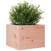 vidaXL plantekasse 60x60x45,5 cm massivt douglasgran