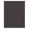 vidaXL Udeterrasse Rullegardin UV Beskyttelse Antracit Polyester