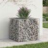 vidaXL Gabion h&oslash;jbed S&oslash;lv 60 x 60 x 55 cm Galvaniseret st&aring;l