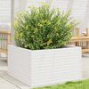 Produktminiaturebillede 2 af 10