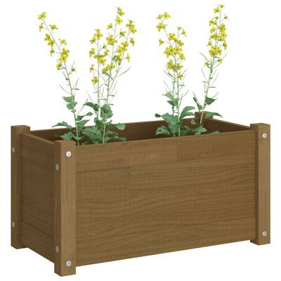 vidaXL plantekasser 2 stk. 60x31x31 cm massivt fyrretræ gyldenbrun