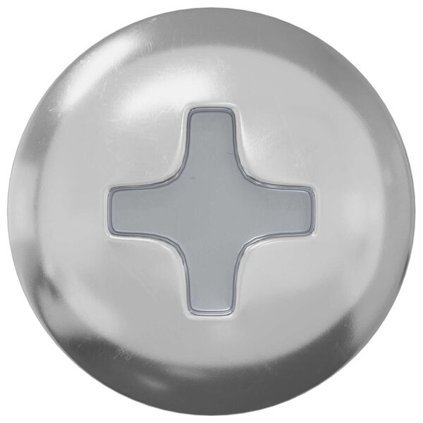 vidaXL Skrue 2 pcs S&oslash;lv 9,8 x 35 mm Jern