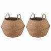 vidaXL Plantekrukke med h&aring;ndtag 2 pcs Naturfarvet &Oslash; 45 x 36 cm