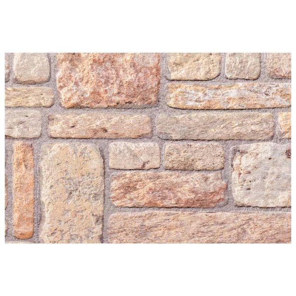 vidaXL V&aelig;gpaneler 10 pcs Lys brun og hvid 100 x 50 cm EPS Skum