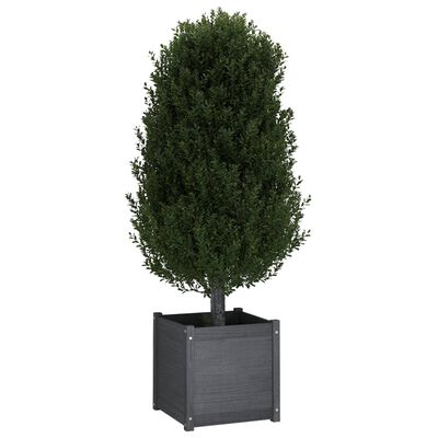 vidaXL plantekasser 2 stk. 50x50x50 cm massivt fyrretræ grå
