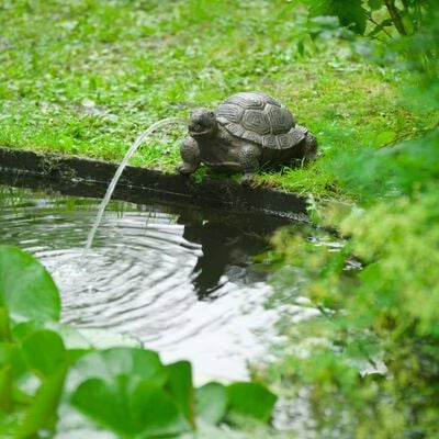Ubbink vandsprøjtende havedamsfigur skildpadde