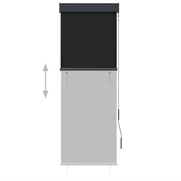 vidaXL udendørs rullegardin 60x250 cm antracitgrå