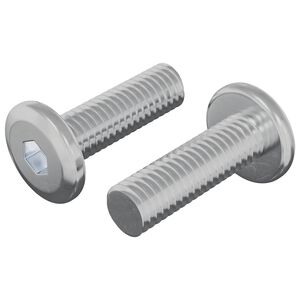 vidaXL Skrue 2 pcs S&oslash;lv 8 x 25 mm St&aring;l