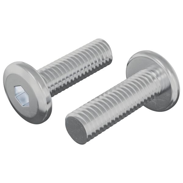 vidaXL Skrue 2 pcs S&oslash;lv 8 x 25 mm St&aring;l