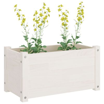 vidaXL plantekasser 2 stk. 60x31x31 cm massivt fyrretræ hvid