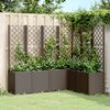 vidaXL plantekasse med espalier 160x120x140 cm PP brun