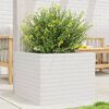 vidaXL plantekasse 60x60x45,5 cm massivt fyrretr&aelig; hvid
