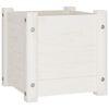 vidaXL plantekasse 31x31x31 cm massivt fyrretr&aelig; hvid