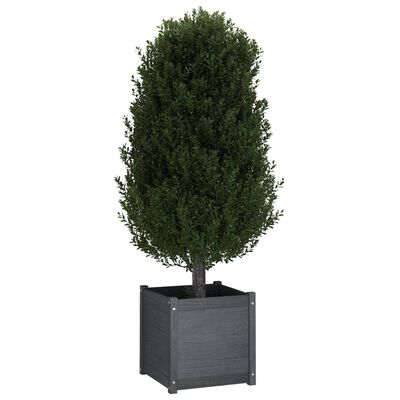 vidaXL plantekasse 50x50x50 cm massivt fyrretræ grå