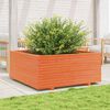vidaXL plantekasse 110x110x49,5 cm massivt fyrretr&aelig; gyldenbrun