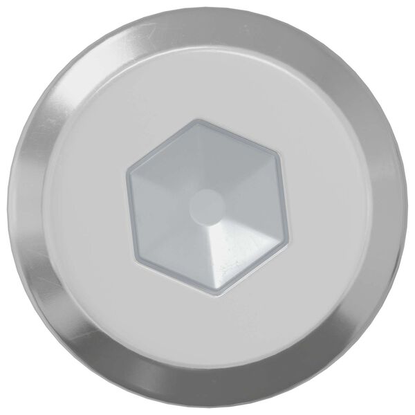 vidaXL L&aring;seskrue Ensfarvet 12 pcs S&oslash;lv M6 x 30 mm St&aring;l