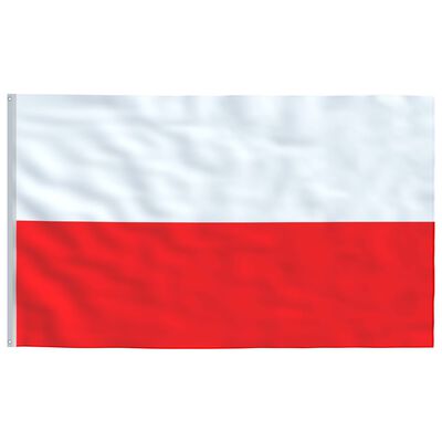 vidaXL Polen flag og flagstang 5,55 m aluminium