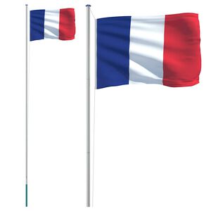 vidaXL Frankrig flag og flagstang 6,08 m aluminium