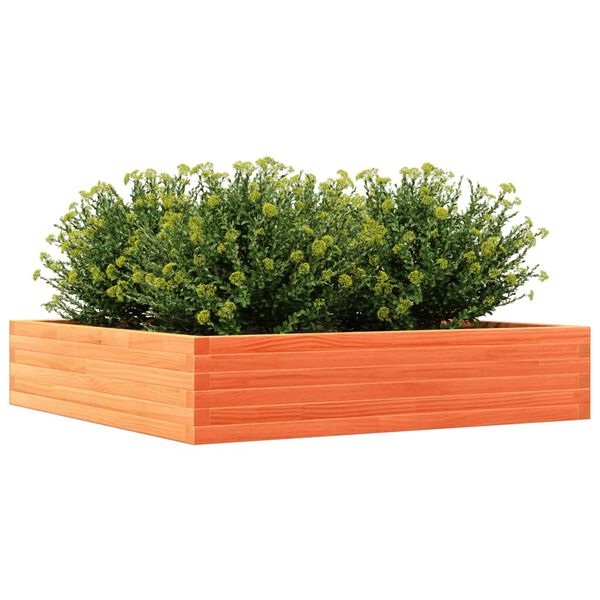 vidaXL plantekasse 110x110x23 cm massivt fyrretr&aelig; gyldenbrun