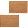 vidaXL d&oslash;rm&aring;tter 2 stk. coir 24 mm 40 x 60 cm naturfarvet