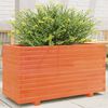 vidaXL plantekasse 90x40x49,5 cm massivt fyrretr&aelig; gyldenbrun