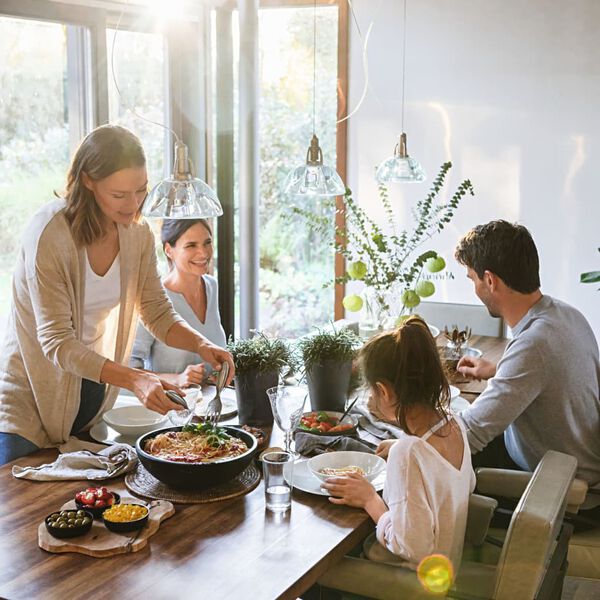 LECHUZA plantekrukke DELTINI ALL-IN-ONE metallisk kulsort