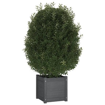 vidaXL plantekasser 2 stk. 40x40x40 cm massivt fyrretræ grå
