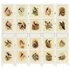 vidaXL Romdivider Panel Hvid 176,5 x 165 cm MDF